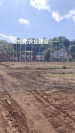 鼎尚銘 專注網絡技術開發，賦能數字化未來