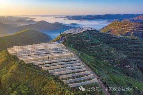 科技潮涌沃野 138萬(wàn)畝背后的農(nóng)業(yè)革新圖譜